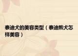 泰迪犬的美容类型（泰迪熊犬怎样美容）