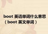 boot 英语单词什么意思（boot 英文单词）