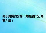 关于海葵的介绍（海葵是什么 海葵介绍）