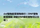 dnf宠物胶囊宠物排行（DNF宠物胶囊揭秘 详解DNF哪些宠物可以交易）