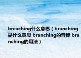 breaching什么意思（branching是什么意思 branching的音标 branching的用法）