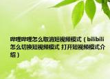 哔哩哔哩怎么取消短视频模式（bilibili怎么切换短视频模式 打开短视频模式介绍）