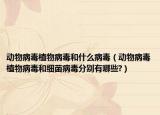 动物病毒植物病毒和什么病毒（动物病毒植物病毒和细菌病毒分别有哪些?）