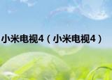 小米电视4（小米电视4）