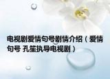 电视剧爱情句号剧情介绍（爱情句号 孔笙执导电视剧）