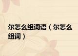 尔怎么组词语（尔怎么组词）
