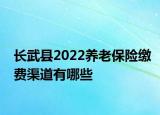 长武县2022养老保险缴费渠道有哪些