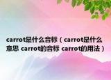 carrot是什么音标（carrot是什么意思 carrot的音标 carrot的用法）