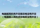 电脑插耳机有声音插音响没有声音（电脑插入耳机或音响后没有声音）