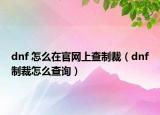 dnf 怎么在官网上查制裁（dnf制裁怎么查询）