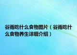 谷雨吃什么食物图片（谷雨吃什么食物养生详细介绍）