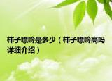 柿子嘌呤是多少（柿子嘌呤高吗详细介绍）
