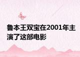 鲁本王双宝在2001年主演了这部电影