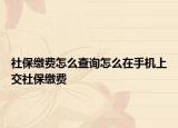 社保缴费怎么查询怎么在手机上交社保缴费