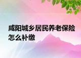咸阳城乡居民养老保险怎么补缴