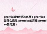 promise的音标怎么写（promise是什么意思 promise的音标 promise的用法）