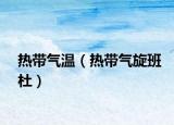 热带气温（热带气旋班杜）
