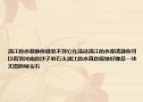 漓江的水很静你感觉不到它在流动漓江的水很清澈你可以看到河底的沙子和石头漓江的水真的很绿好像是一块无瑕的绿宝石