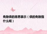 免除债的意思表示（债的免除指什么呢）