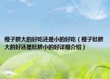 橙子脐大的好吃还是小的好吃（橙子肚脐大的好还是肚脐小的好详细介绍）