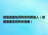 微信语音如何转发给其他人（微信语音如何转发语音）
