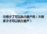 欠债少了可以执行房产吗（欠债多少才可以执行房产）
