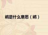 鹇是什么意思（鹇）