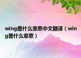 wing是什么意思中文翻译（wing是什么意思）