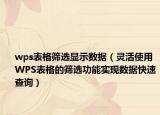 wps表格筛选显示数据（灵活使用WPS表格的筛选功能实现数据快速查询）