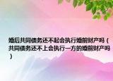 婚后共同债务还不起会执行婚前财产吗（共同债务还不上会执行一方的婚前财产吗）