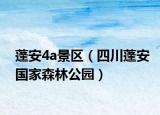 蓬安4a景区（四川蓬安国家森林公园）