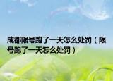 成都限号跑了一天怎么处罚（限号跑了一天怎么处罚）