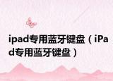 ipad专用蓝牙键盘（iPad专用蓝牙键盘）