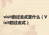 visit的过去式是什么（Visit的过去式）