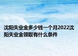 沈阳失业金多少钱一个月2022沈阳失业金领取有什么条件
