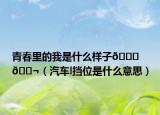 青春里的我是什么样子