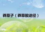 莽草子（莽草酸途径）