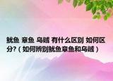 鱿鱼 章鱼 乌贼 有什么区别 如何区分?（如何辨别鱿鱼章鱼和乌贼）