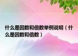 什么是因数和倍数举例说明（什么是因数和倍数）