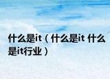 什么是it（什么是it 什么是it行业）