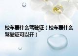 校车要什么驾驶证（校车要什么驾驶证可以开）