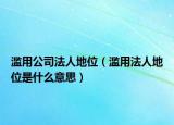 滥用公司法人地位（滥用法人地位是什么意思）