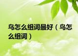 鸟怎么组词最好（鸟怎么组词）