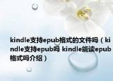 kindle支持epub格式的文件吗（kindle支持epub吗 kindle能读epub格式吗介绍）
