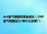 dnf血气唤醒和嗜血成长（DNF血气唤醒加几?有什么效果?）