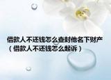 借款人不还钱怎么查封他名下财产（借款人不还钱怎么起诉）