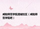 咸阳师范学院渭城校区（咸阳师范学院吧）
