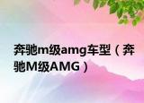 奔驰m级amg车型（奔驰M级AMG）