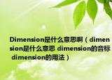 Dimension是什么意思啊（dimension是什么意思 dimension的音标 dimension的用法）