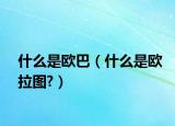 什么是欧巴（什么是欧拉图?）